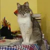 Отзыв от Ангелина Елизарова